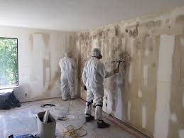 Best Mold Documentation for Insurance Claims  in East Canton, OH